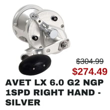 AVET LX 6.0 G2 NGP 1SPD Right Hand - Silver-1