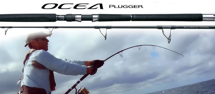 OCeapluger