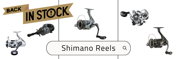 Shimano Reels Header