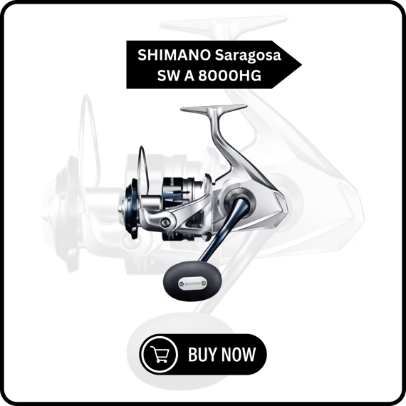 Shimano Saragosa SW A 8000HG