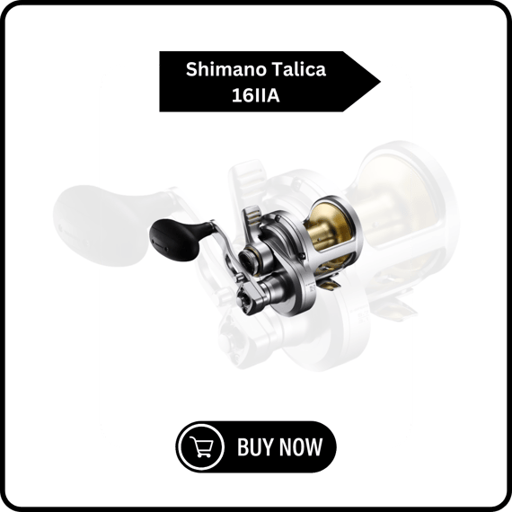 Shimano Talica 16IIA