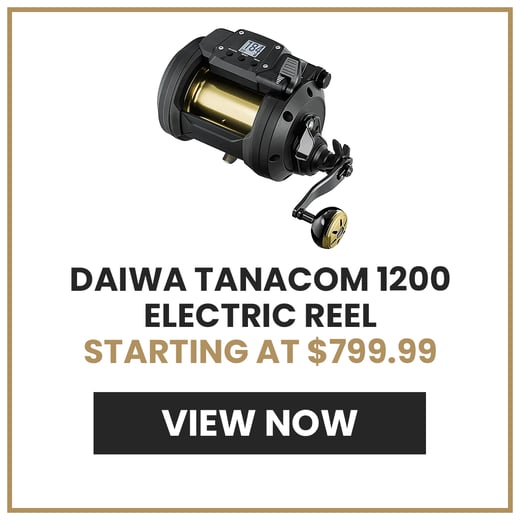 tanacom 1200-3