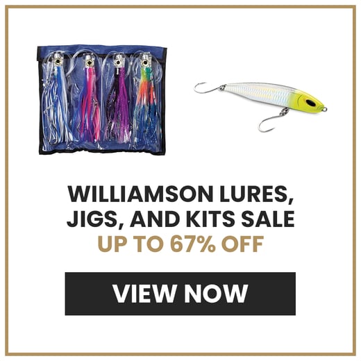 williamson sale